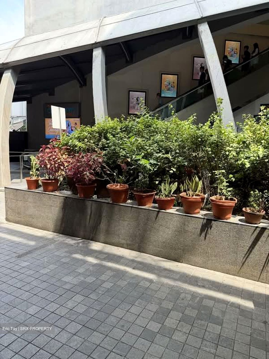Clementi Avenue 3 (D5), Shop House #545514141